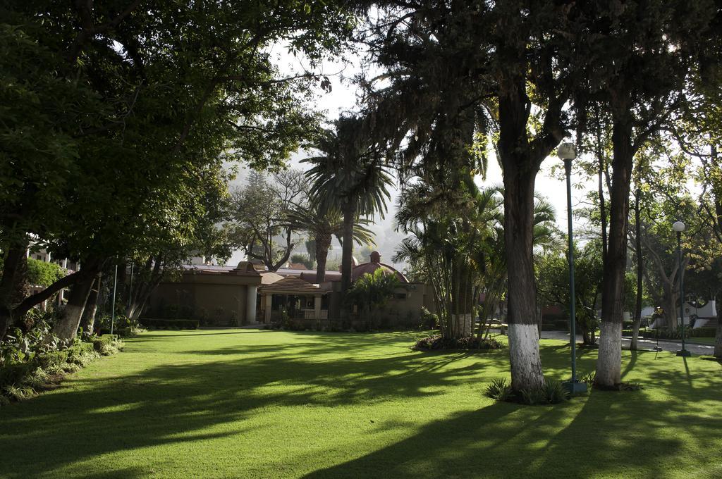 Hotel Los Olivos Spa Oaxaca Extérieur photo