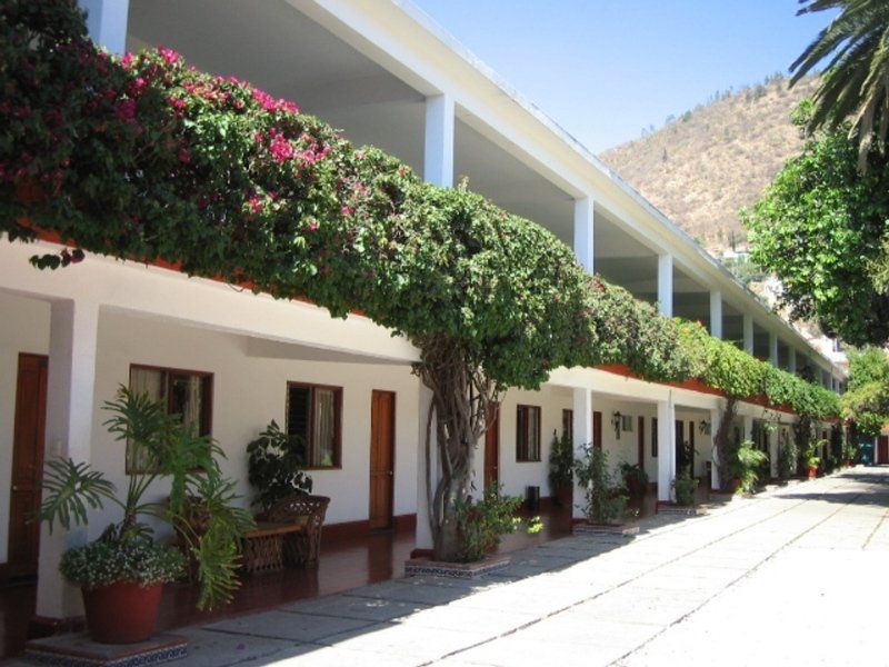 Hotel Los Olivos Spa Oaxaca Extérieur photo